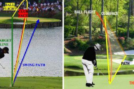 dプレーンの説明